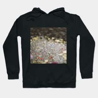 Wildflowers in the breeze Hoodie